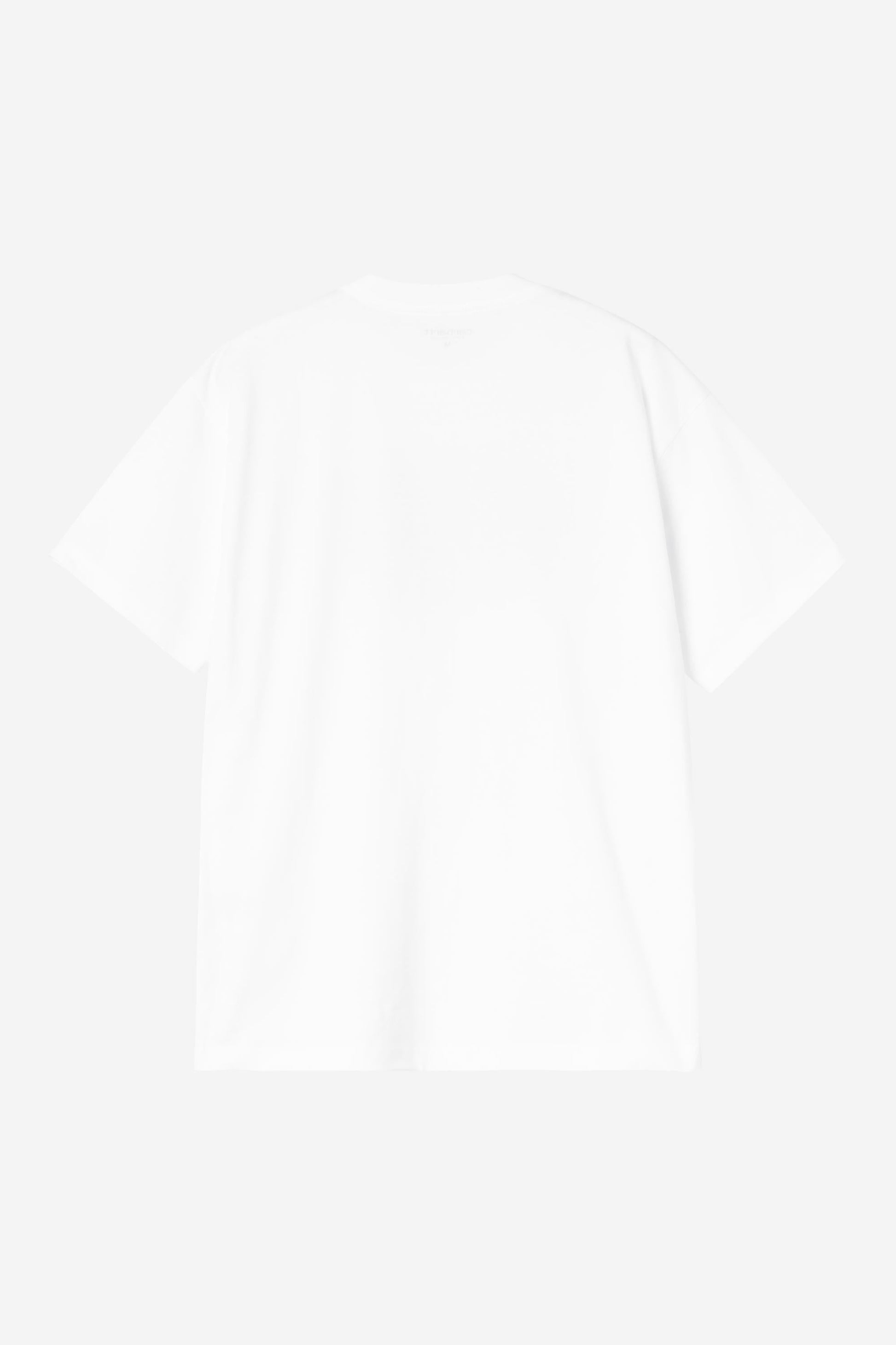 Carhartt WIP Tipsy Type T-Shirt