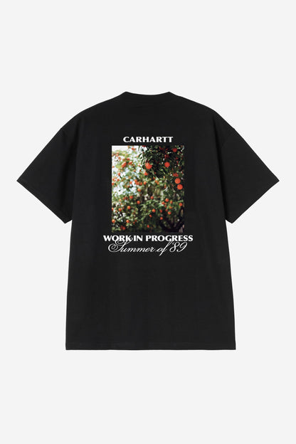 Carhartt WIP Warm Views T-Shirt